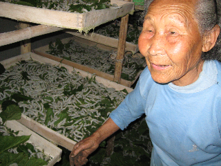 Zhang Jian's Großmutter mit ihren Seidenraupen